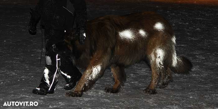 Spray reflectorizant pentru animalele de companie si cai Albedo100 , 200ml - 2