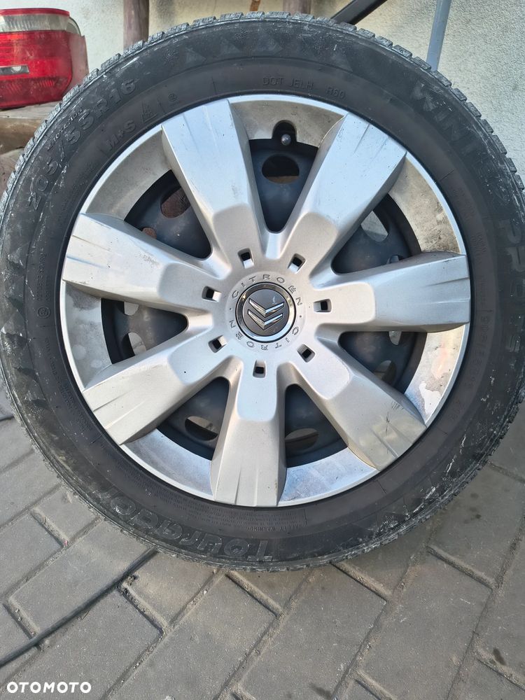Citroën C4 Cactus 1.2 PureTech Shine Edition S&S ETG - 16