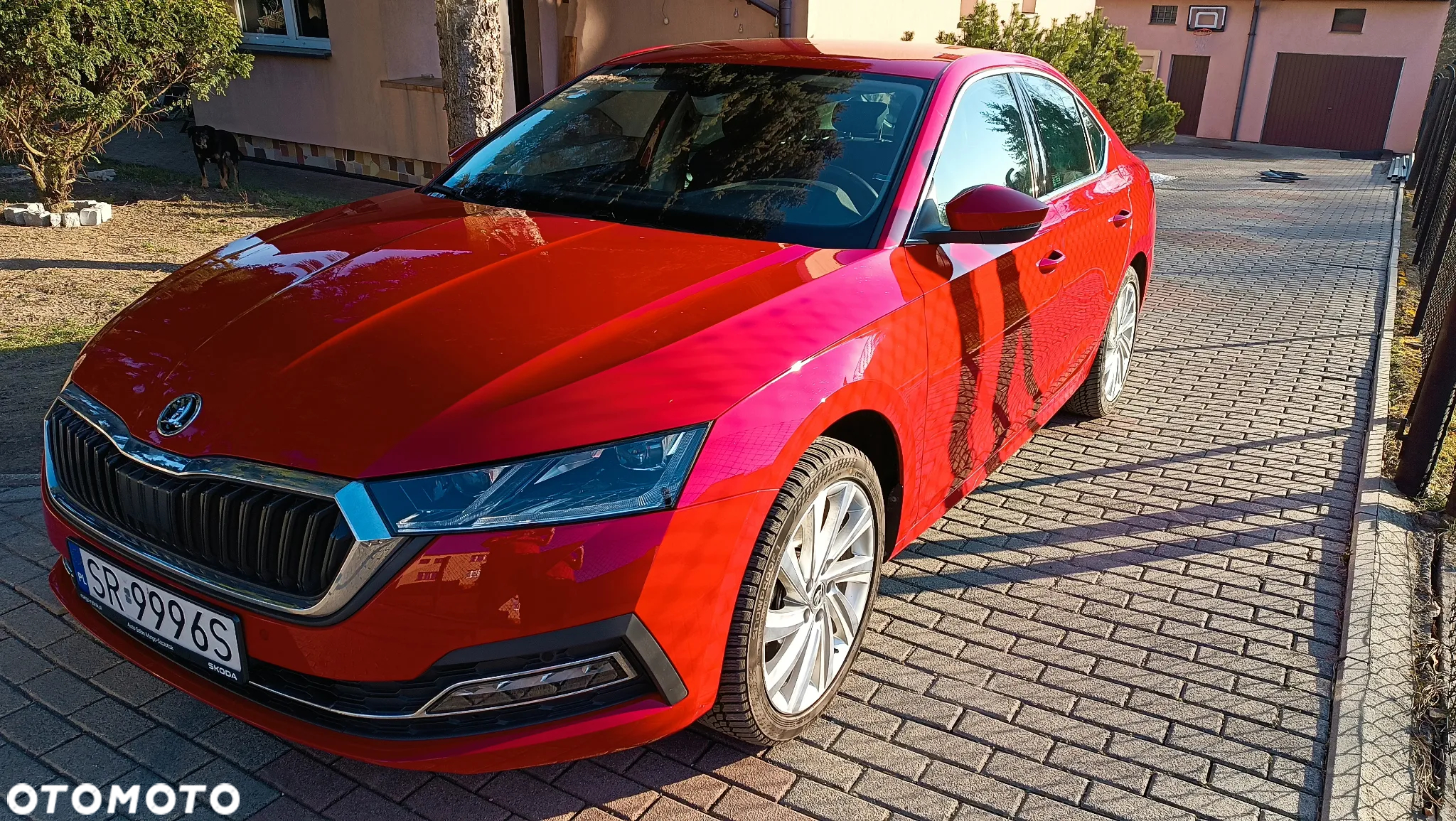 Skoda Octavia - 13