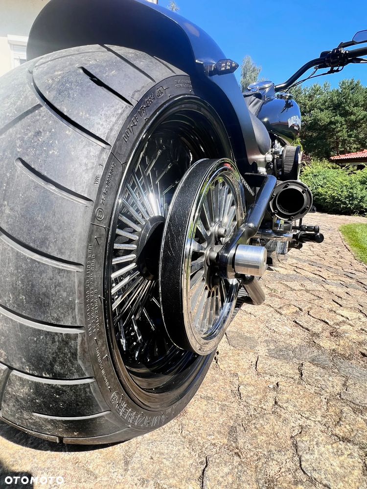 Harley-Davidson Softail - 13