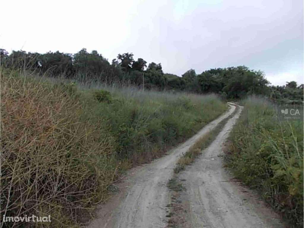 Terreno Rústico - Grande imagem: 3/4