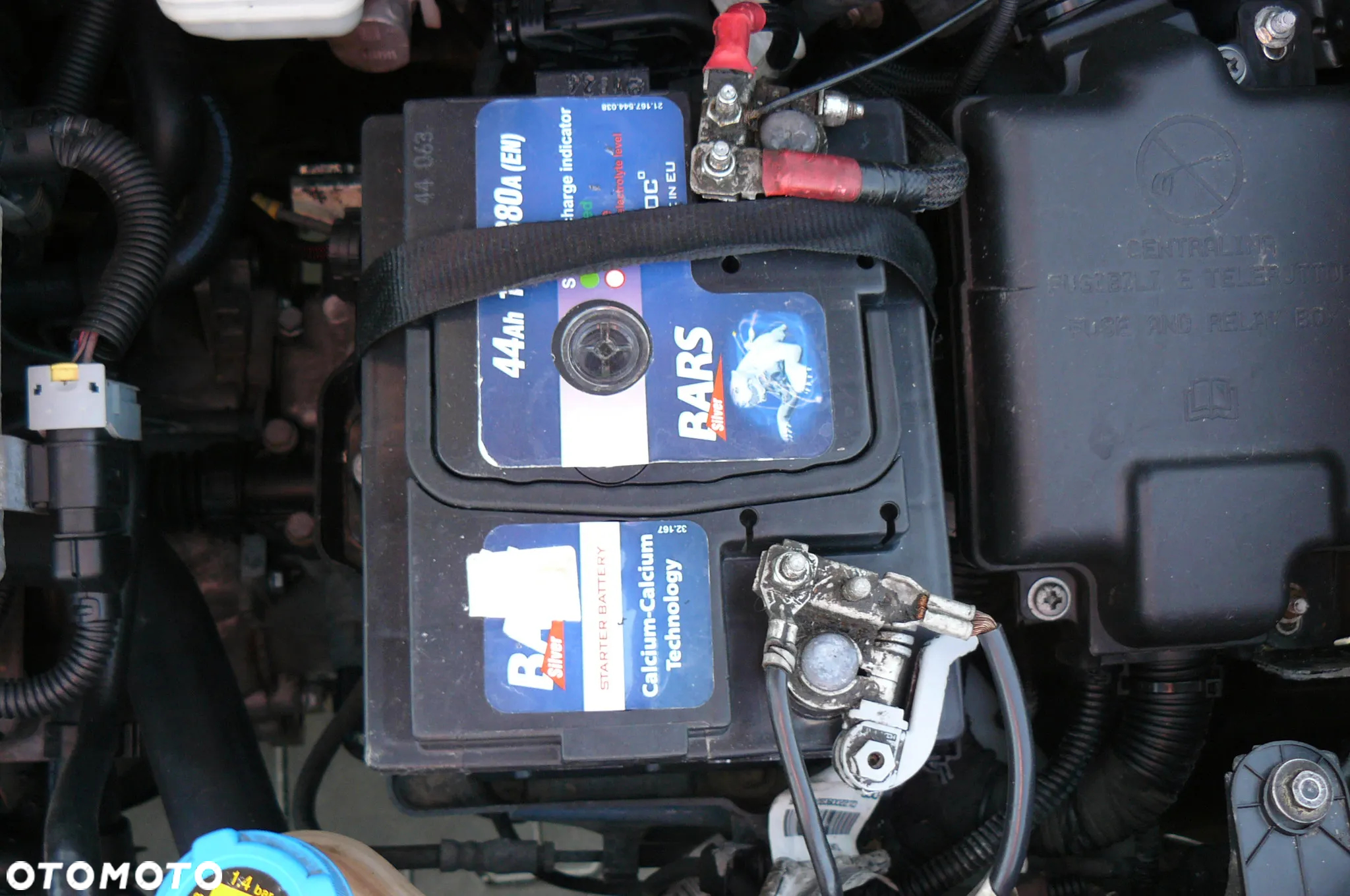 Fiat Punto - 20