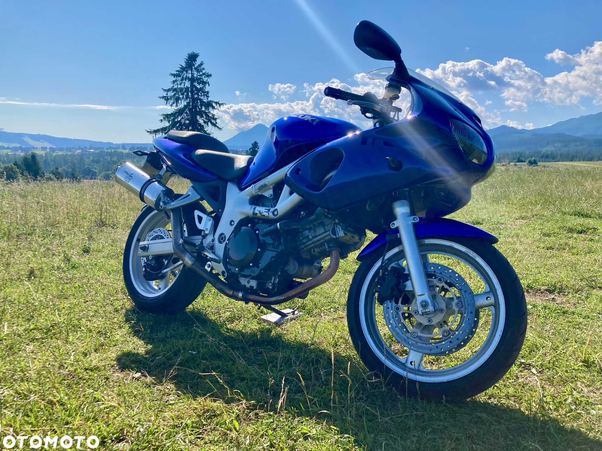 Suzuki SV - 2