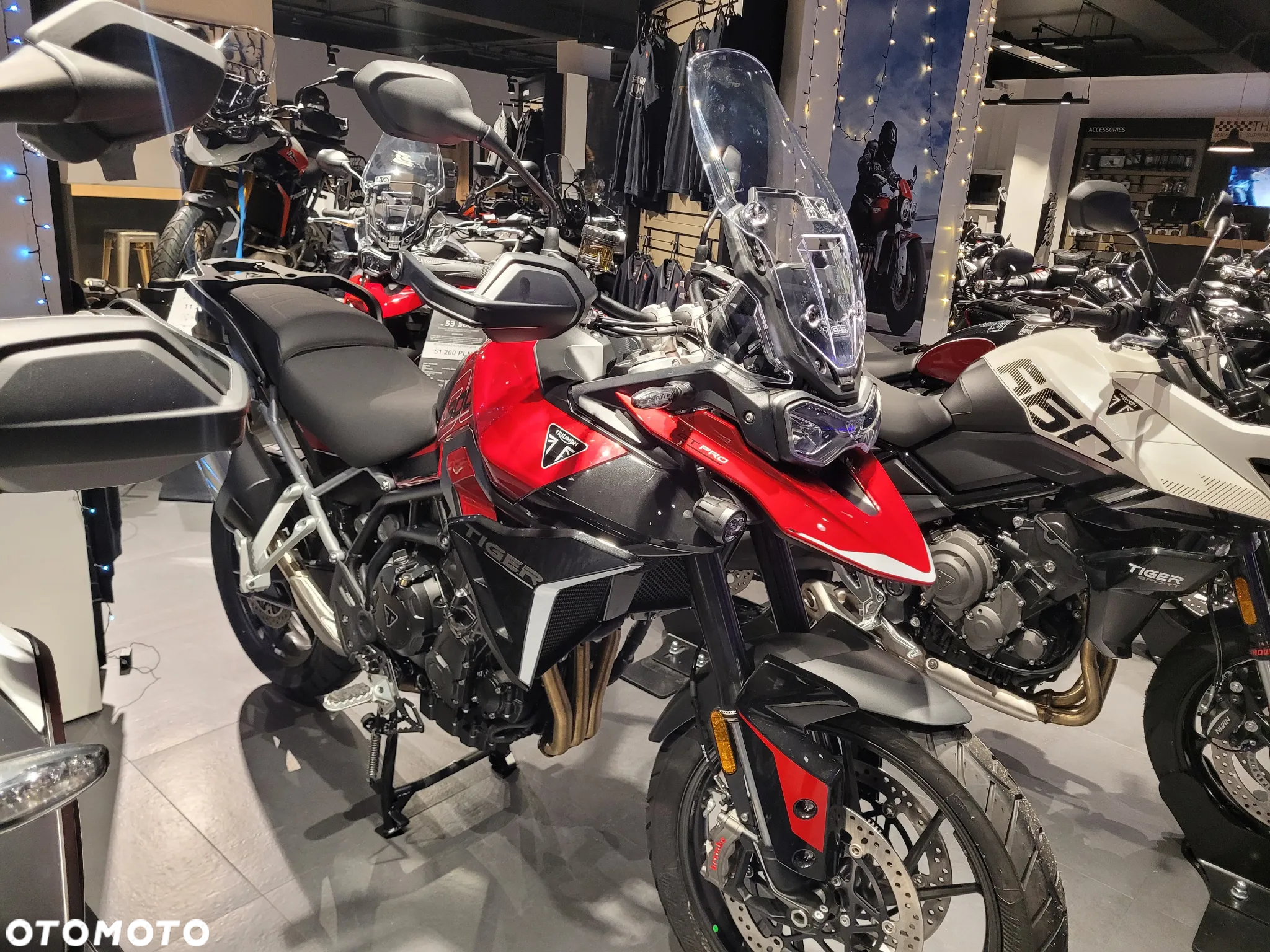 Triumph Tiger