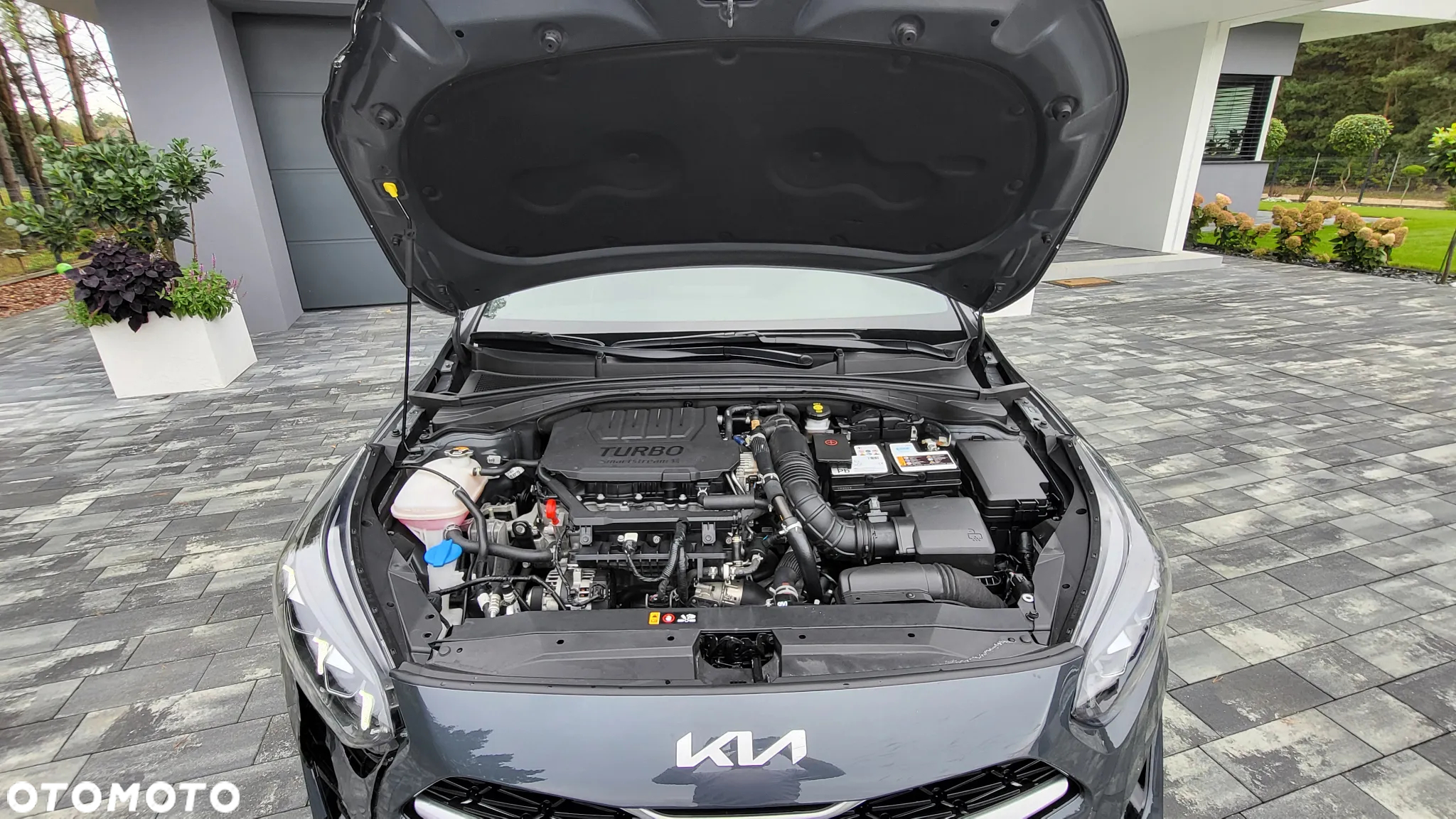 Kia ProCeed 1.5 T-GDI GT Line DCT - 17