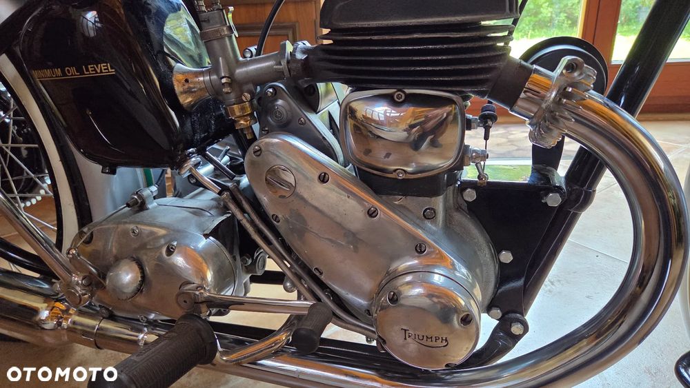Triumph Inny - 8