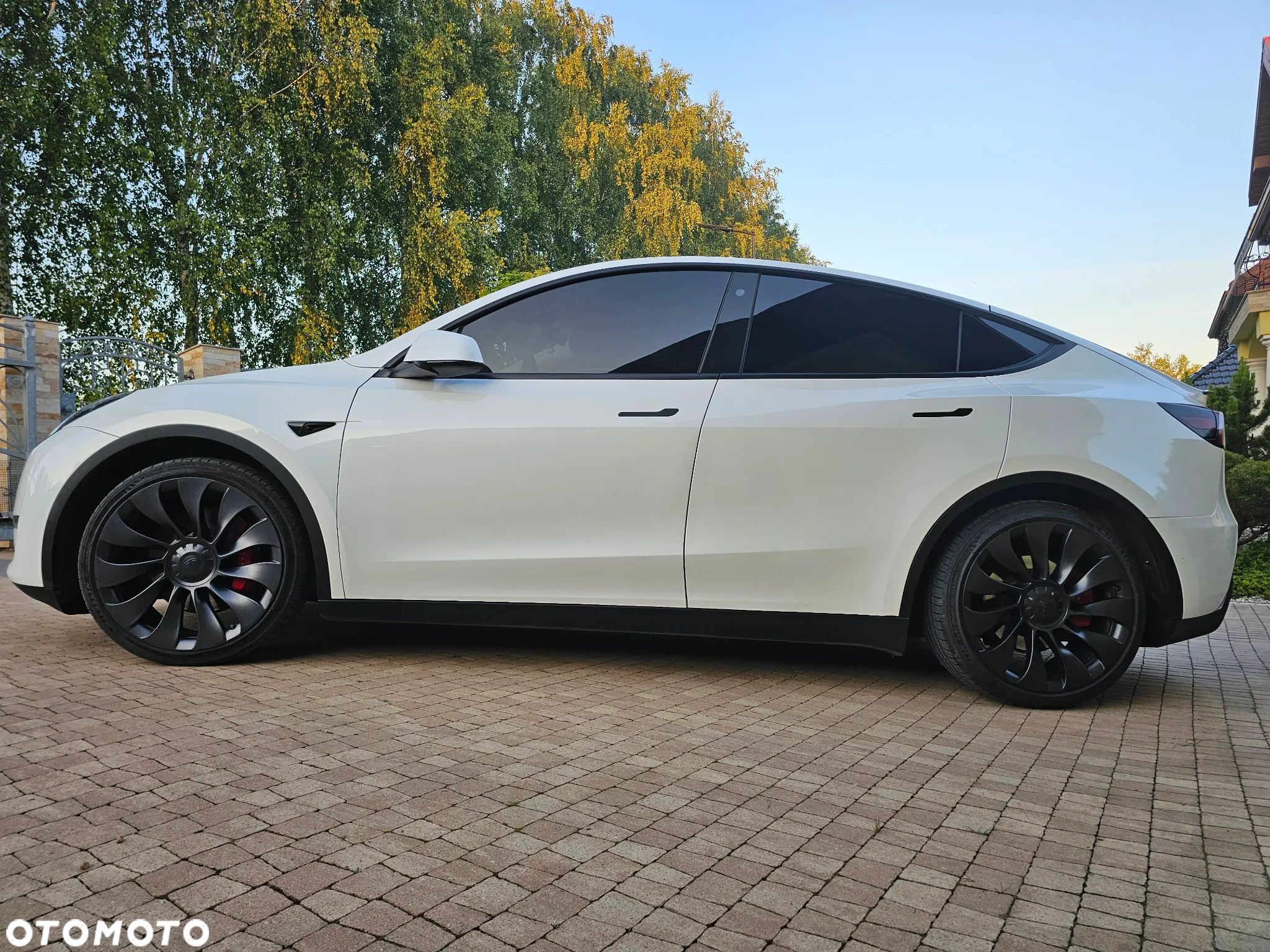 Tesla Y Model Performance Dual Motor AWD - 7