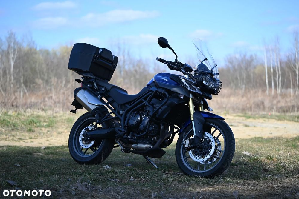 Triumph Tiger - 1