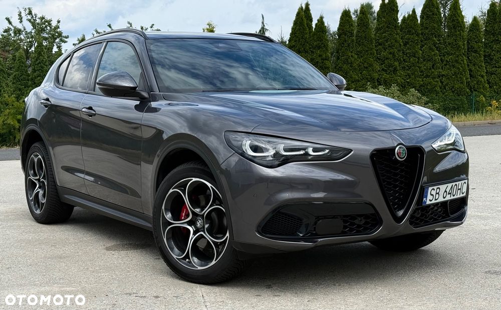 Alfa Romeo Stelvio 2.0 Turbo 16V AT8-Q4 Competizione - 10
