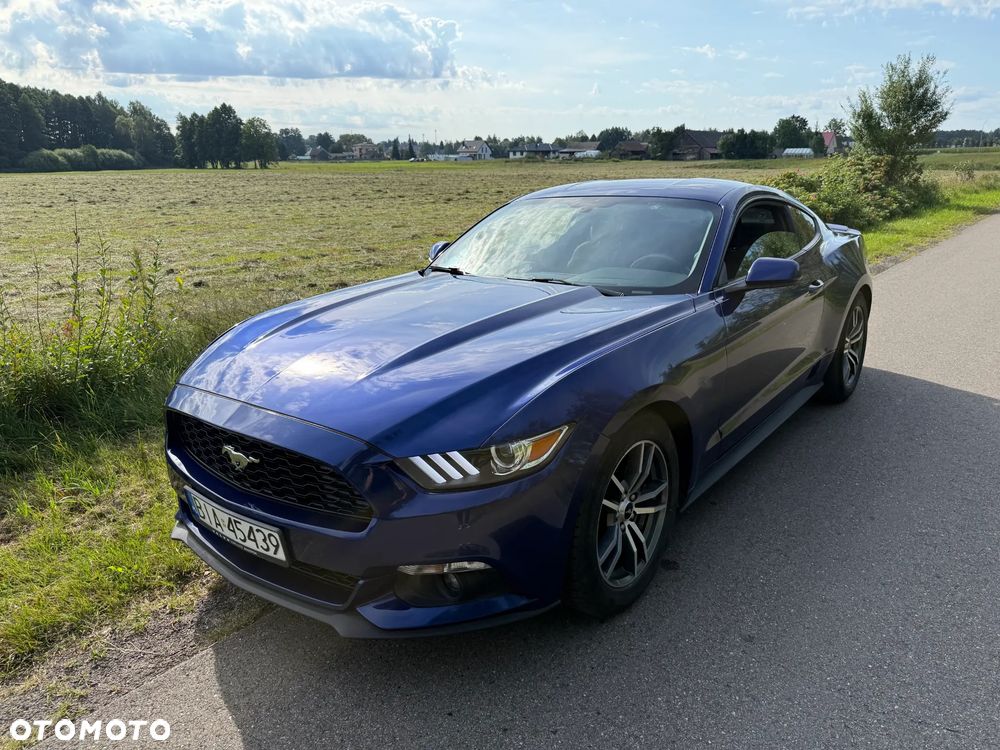 Ford Mustang - 1