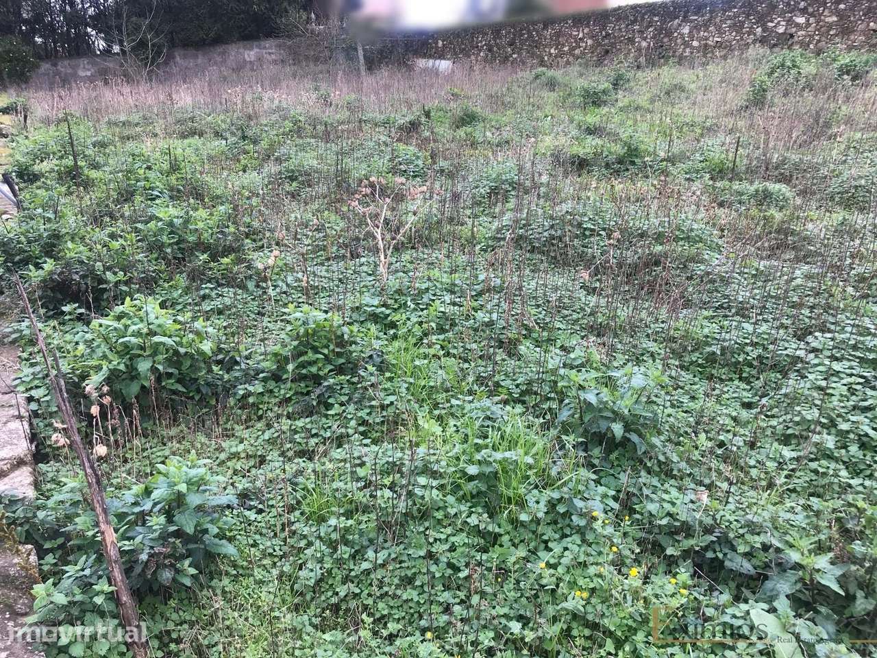 Terreno para construção, em Beiriz - Grande imagem: 3/5