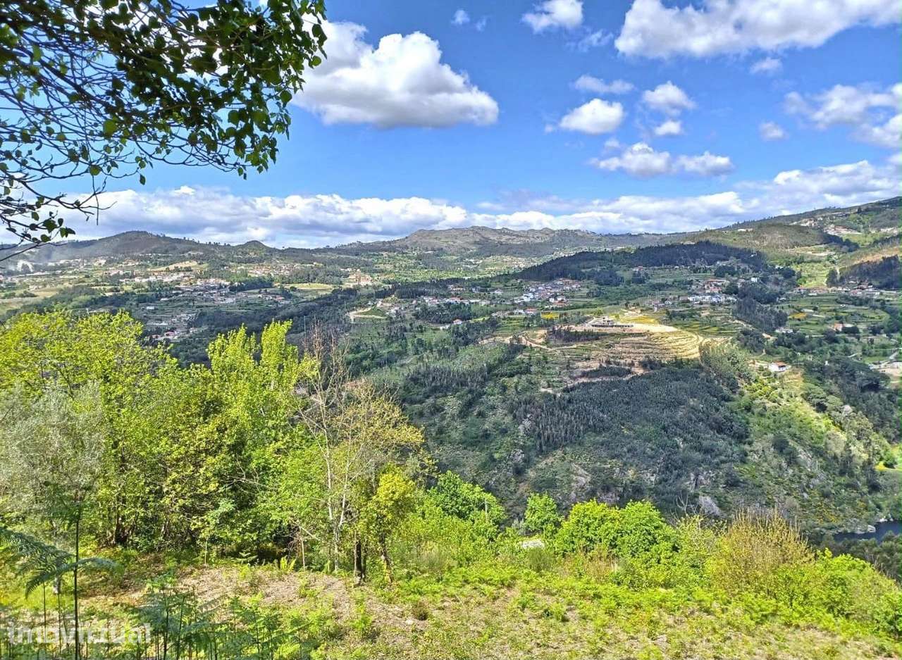Quinta no Douro para Turismo Rural - Grande imagem: 2/12
