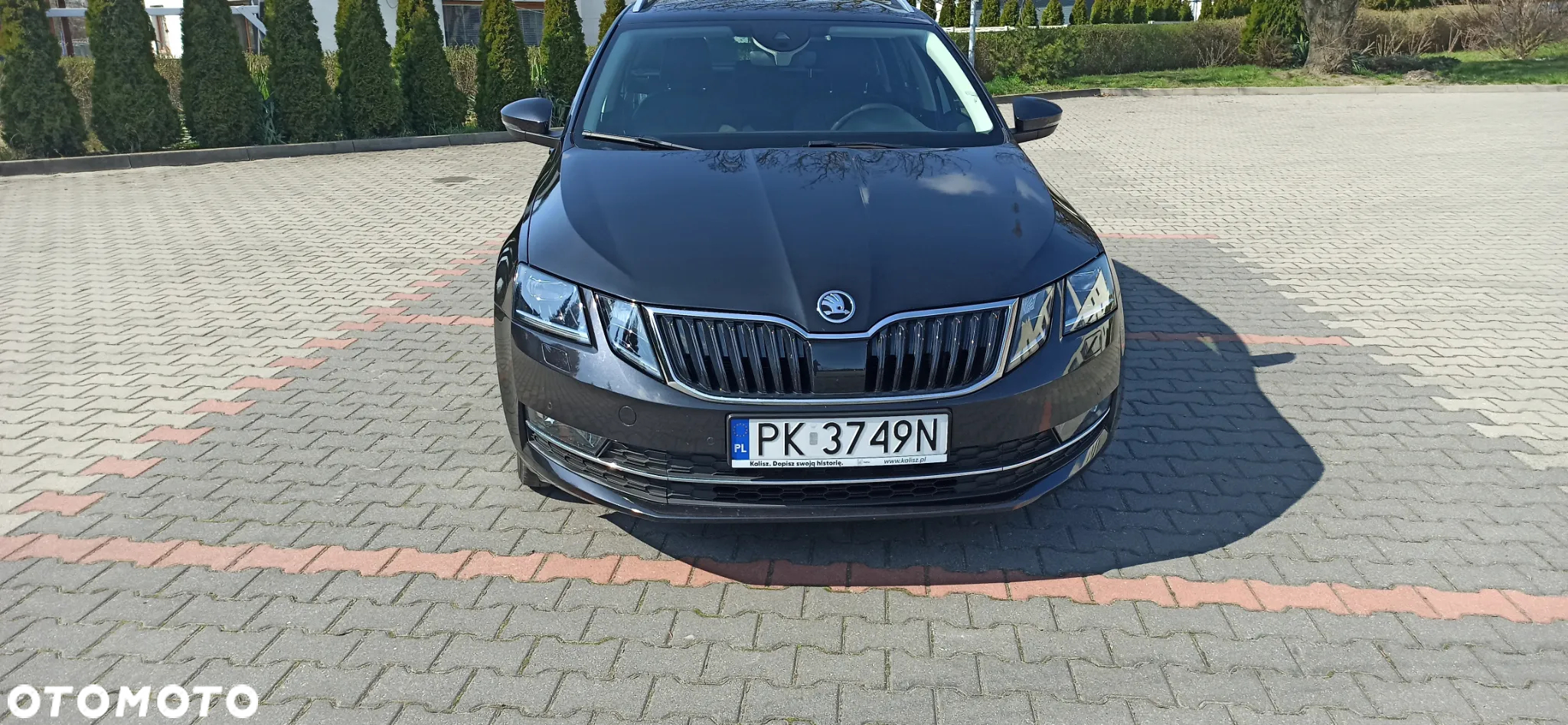 Skoda Octavia - 16