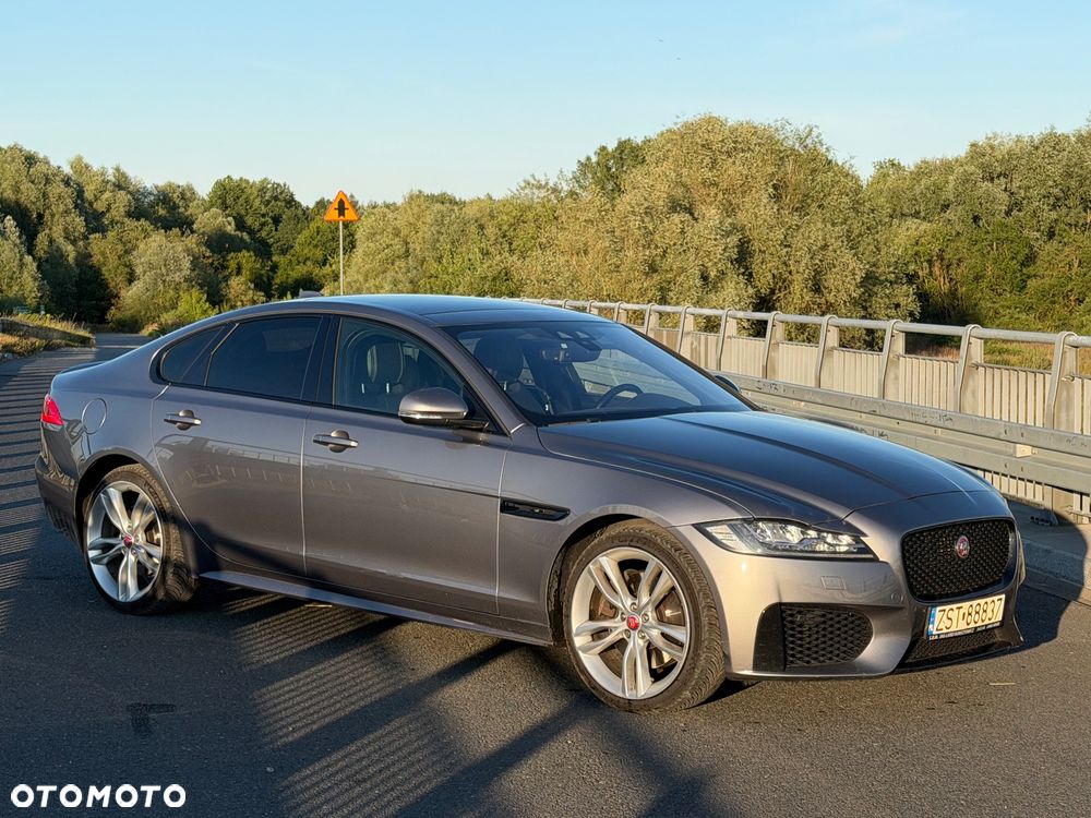Jaguar XF 30t AWD Chequered Flag - 1