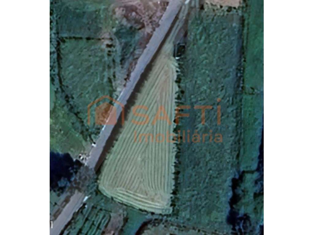 1000 m2 Terreno - Grande imagem: 2/3