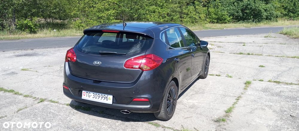 Kia Ceed 1.6 GDI Dream-Team Edition - 14