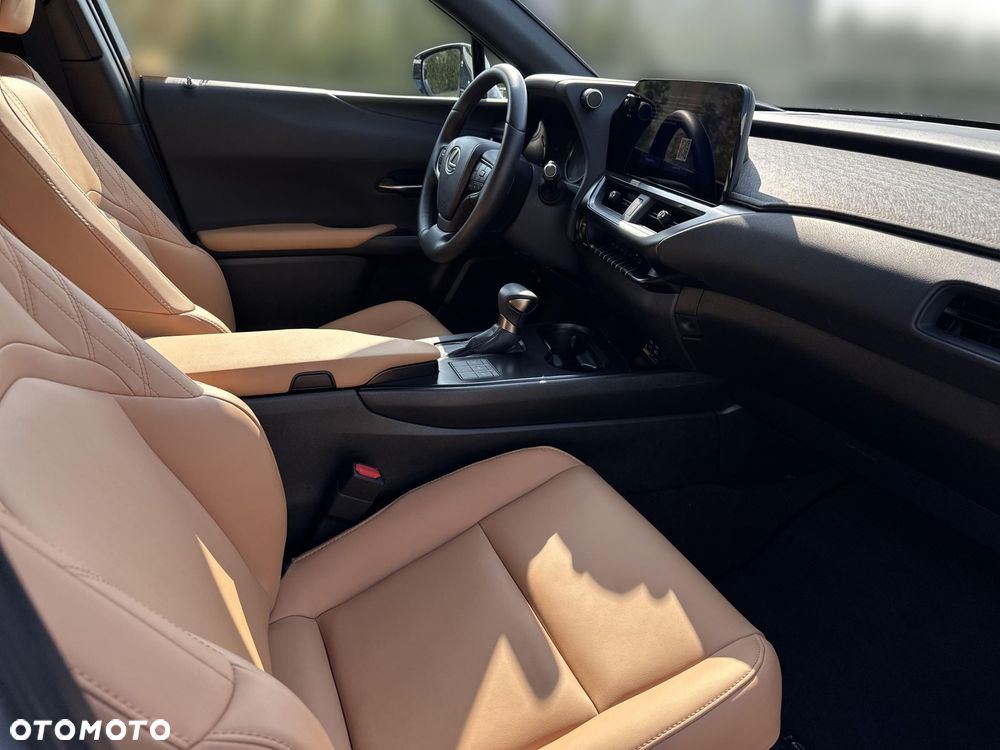 Lexus UX 250h GPF F Sport Design 2WD - 13