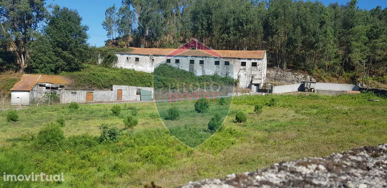 Quinta  Venda em São João da Serra,Oliveira de Frades - Grande imagem: 2/45