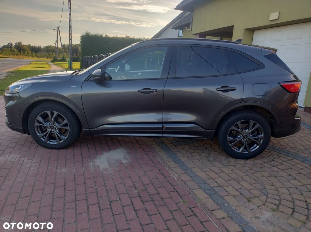 Ford Kuga 2.0 EcoBlue 4x4 ST-LINE X - 8