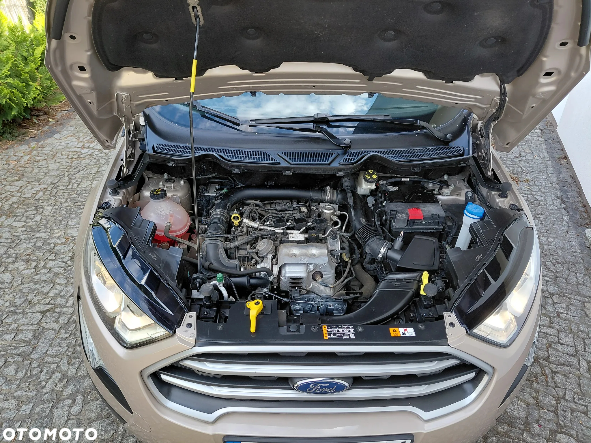 Ford EcoSport 1.0 EcoBoost GPF Titanium ASS - 37