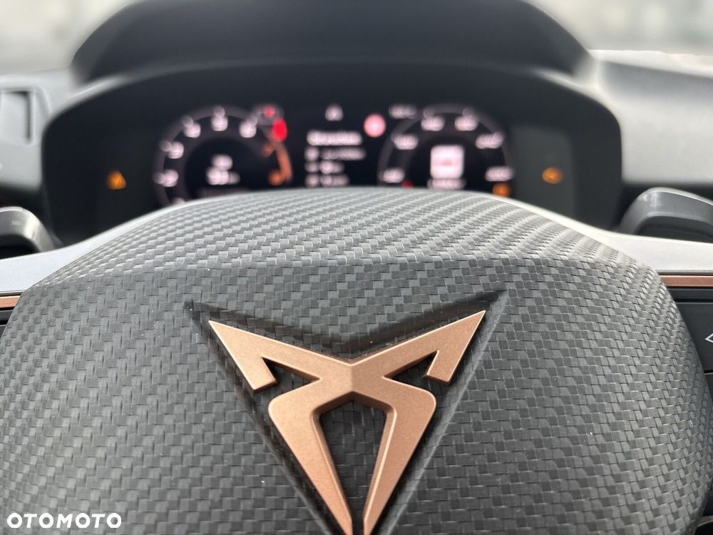 Cupra Terramar 2.0 TSI 4Drive Advantage Edition DSG - 22