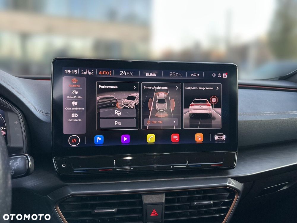 Cupra Formentor 2.0 TSI 4Drive DSG - 18