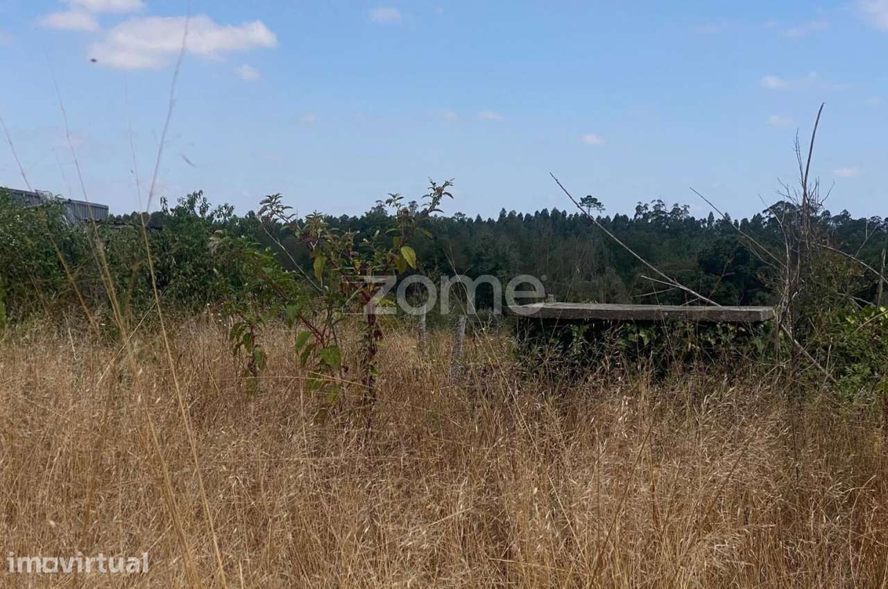 Terreno Urbanizável Reconco - Mealhada - Grande imagem: 3/17