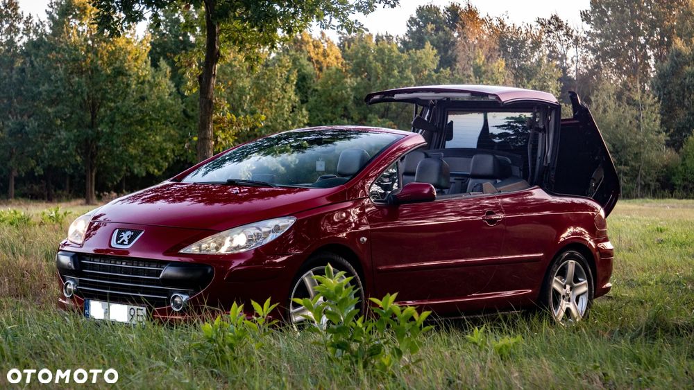 Peugeot 307 CC - 9