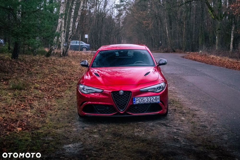 Alfa Romeo Giulia 2.9 Bi Turbo V6 Quadrifoglio - 14