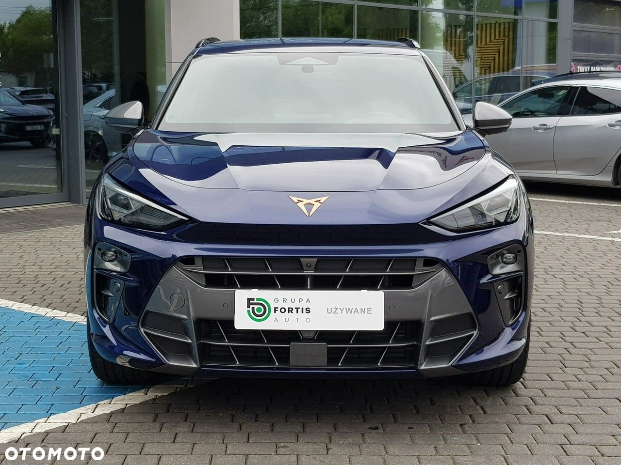 Cupra Terramar - 12