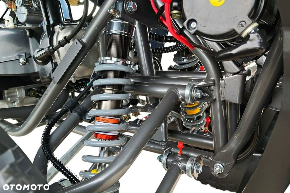 Diabolini Inny - 13