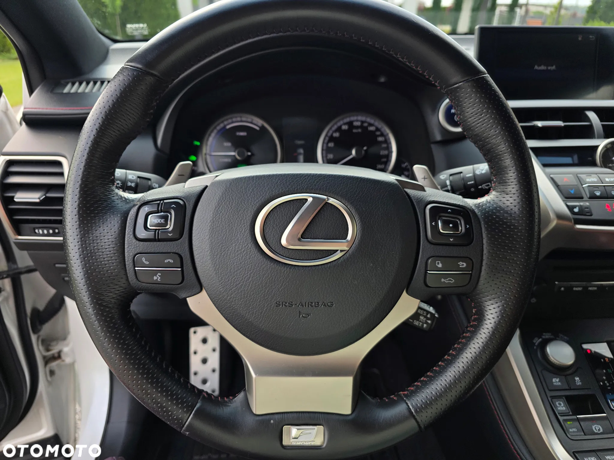 Lexus NX 300h E-FOUR F SPORT - 18