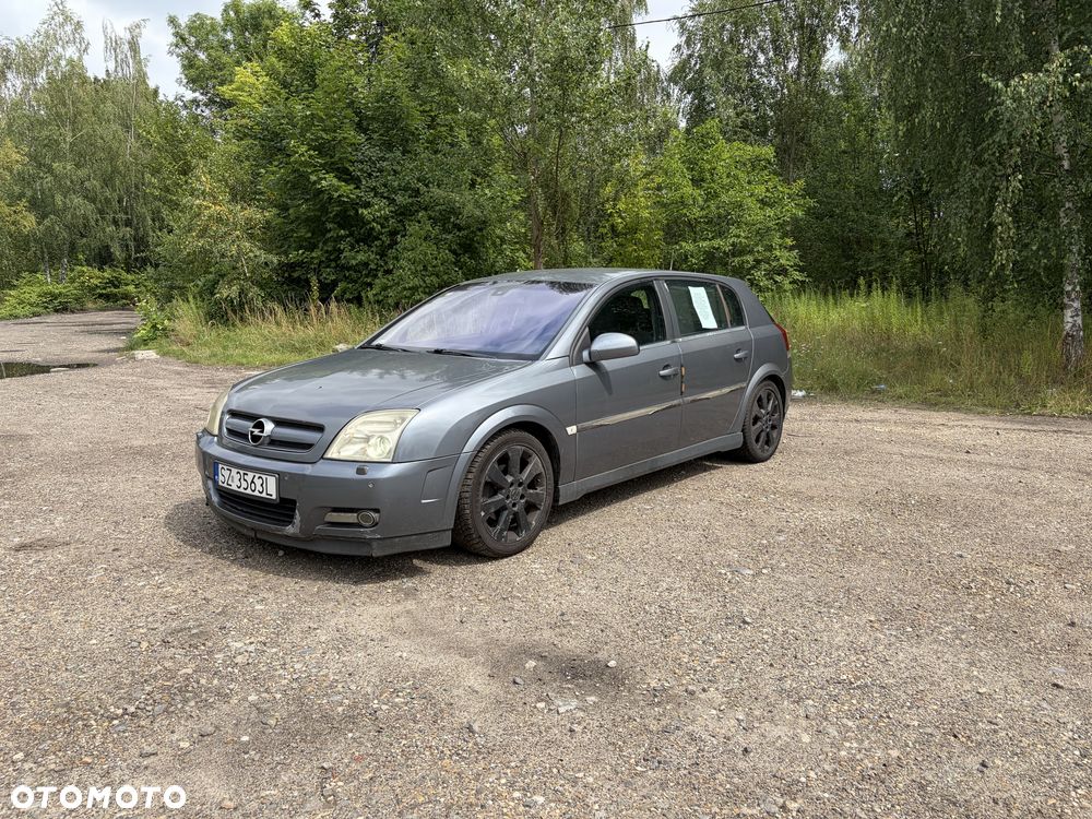 Opel Signum - 1