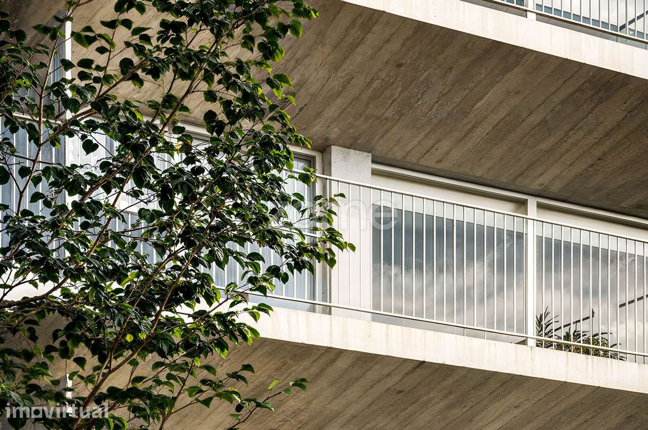 Apartamento T0 Lordelo do Ouro - Grande imagem: 4/7