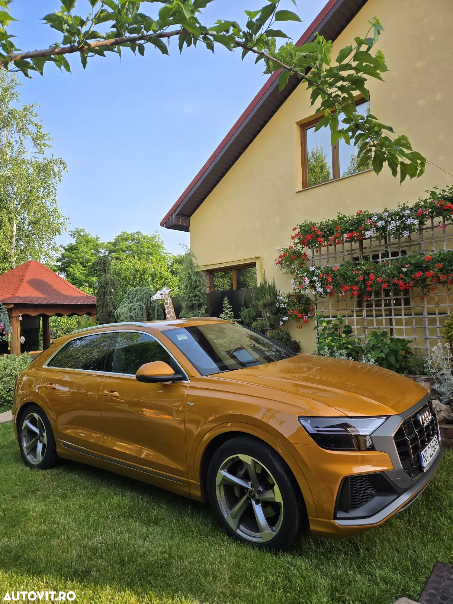 Audi Q8 - 3