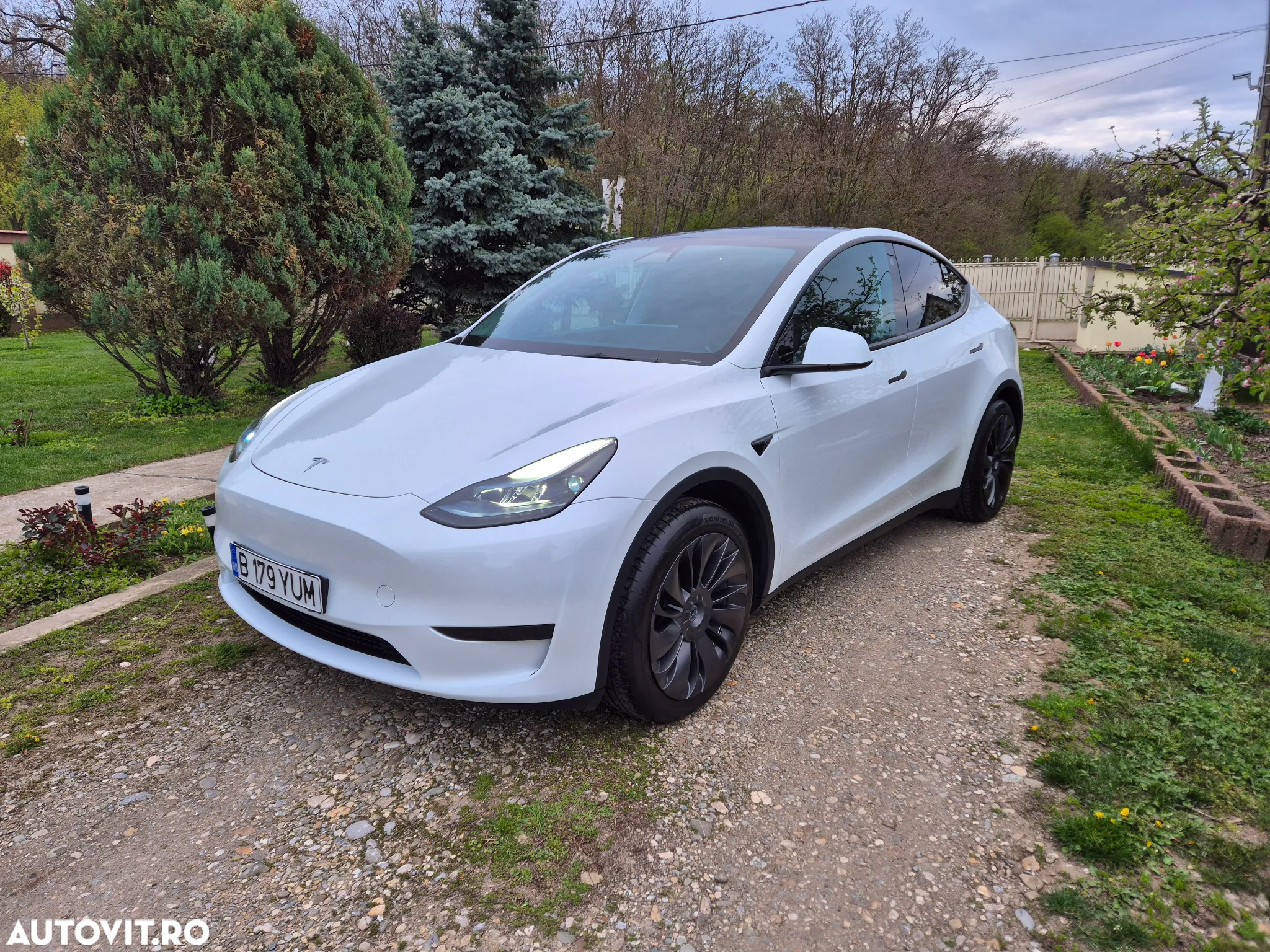 Tesla Model Y - 4