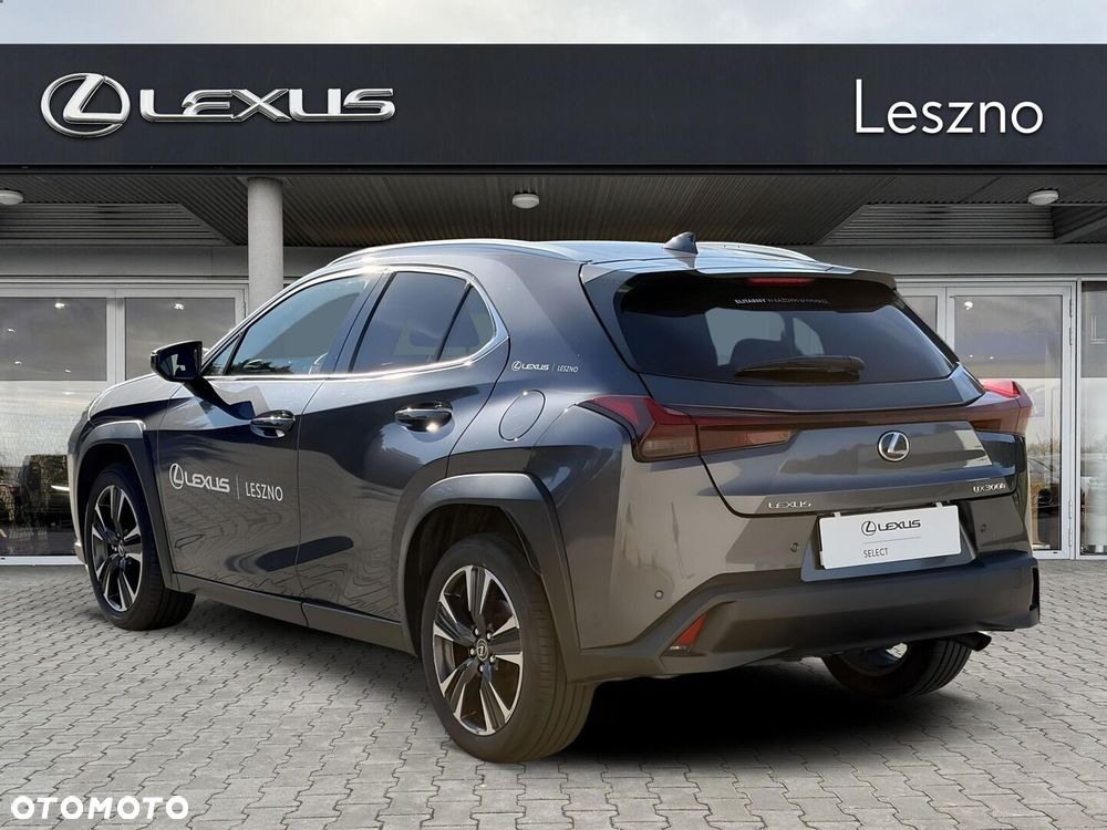 Lexus UX 300h Business - 6