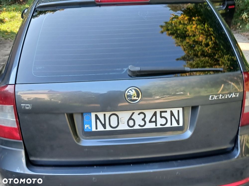Skoda Octavia - 3