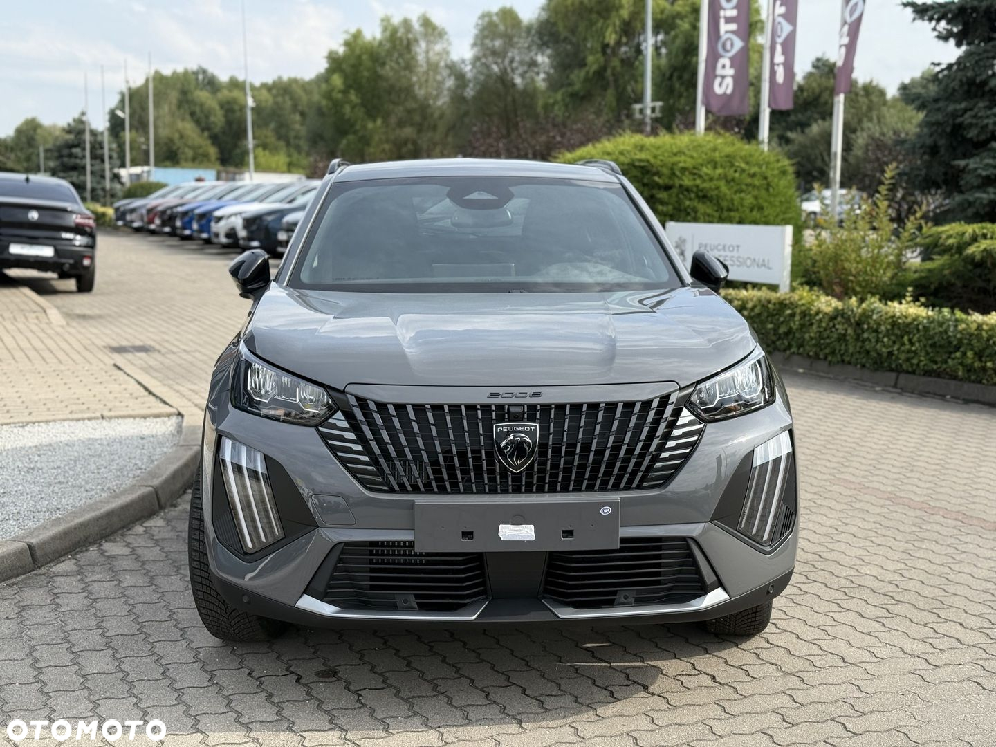 Peugeot 2008 - 3