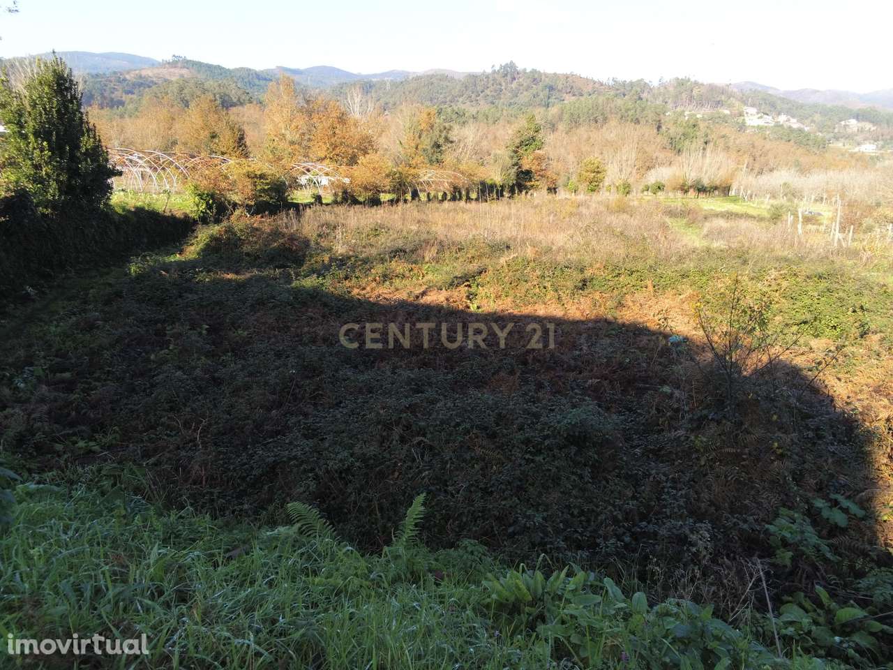 Terreno para Venda - 2.420 m² Pura Tranquilidade com pequeno RIO - Grande imagem: 4/29