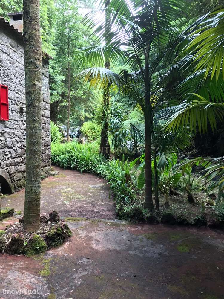 Moinho de água da Achadinha - Grande imagem: 5/33