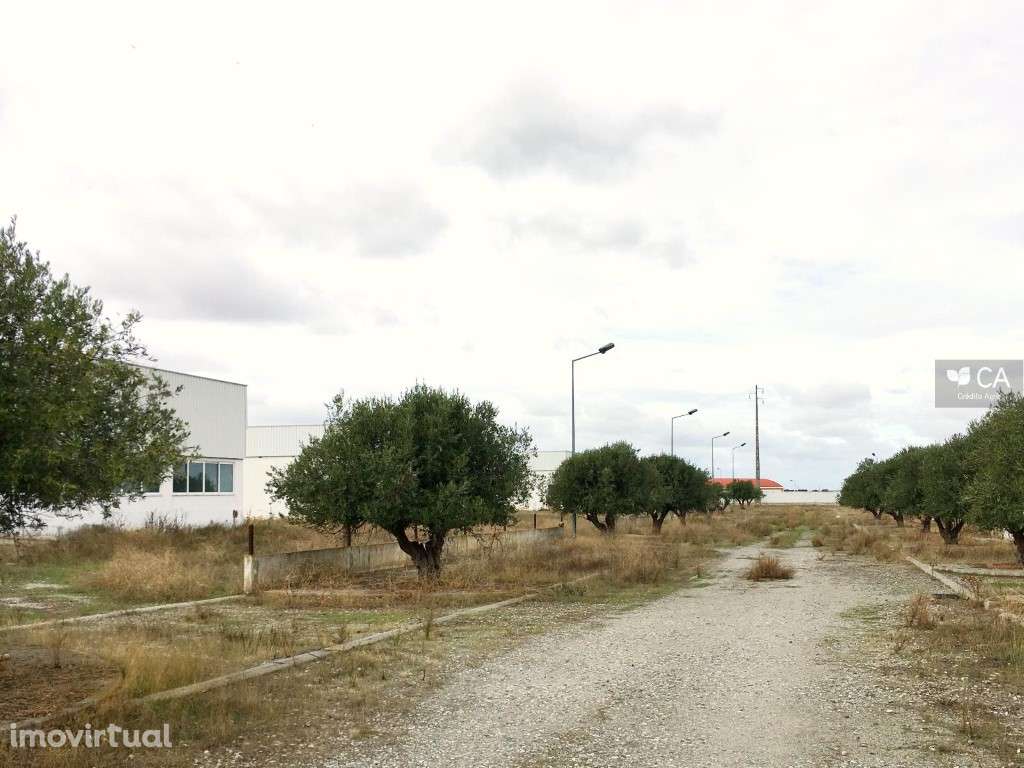 Armazéns e moradia inseridos em terreno com 109.500m² situado em Sa... - Grande imagem: 4/20