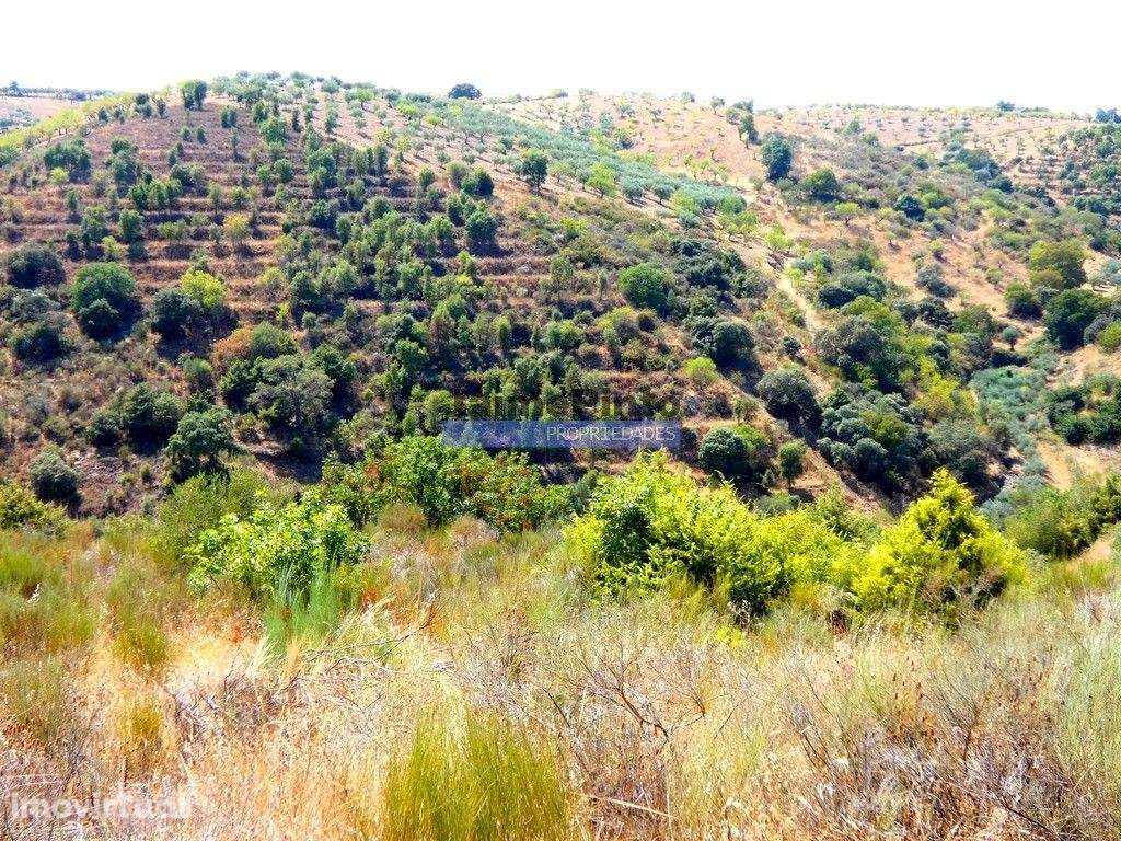 17.500m2 TERRENO rústico, em patamares, Vista Lago Sabor. Portugal,... - Grande imagem: 4/9