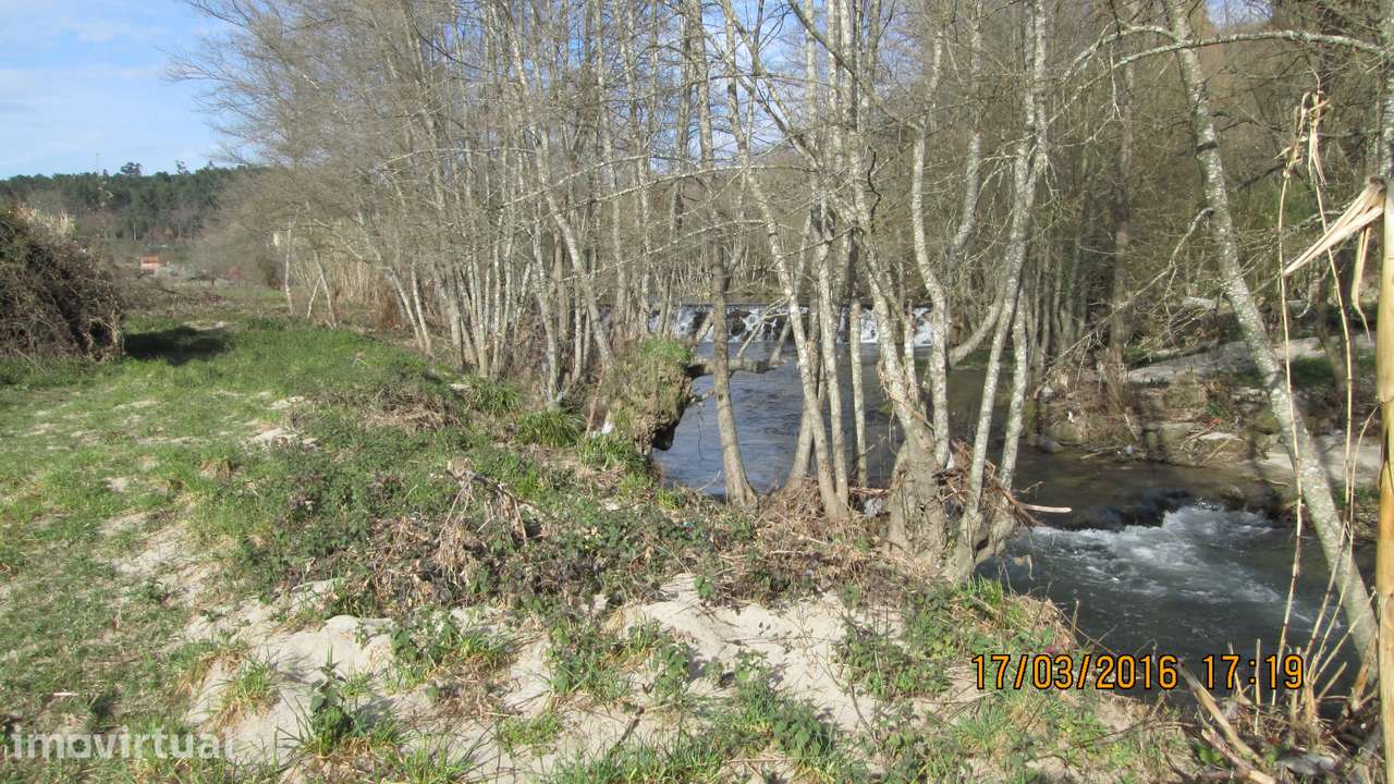 Terreno em Roriz , Penalva do Castelo com  14 ha - Grande imagem: 2/13