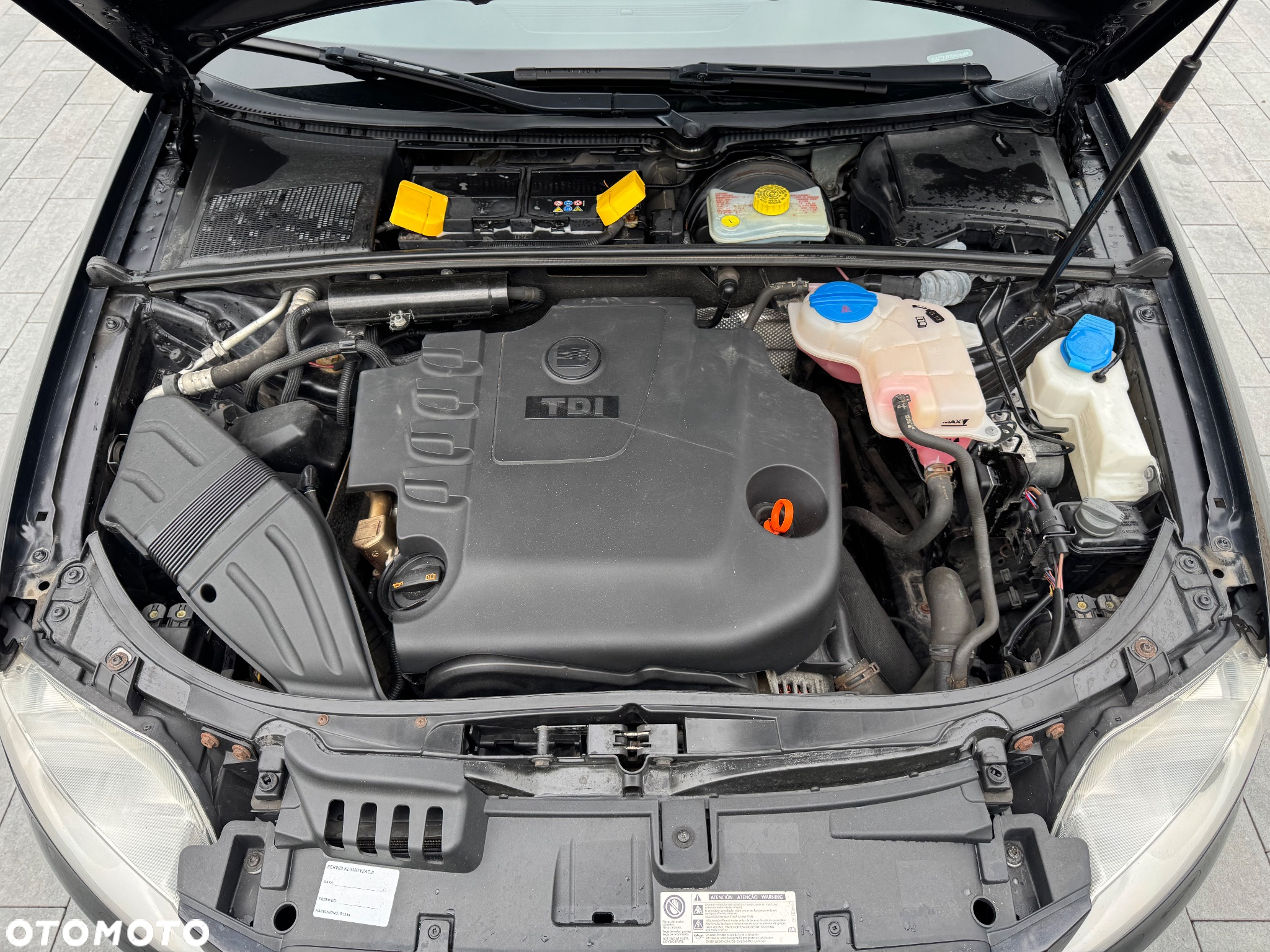 Seat Exeo - 30