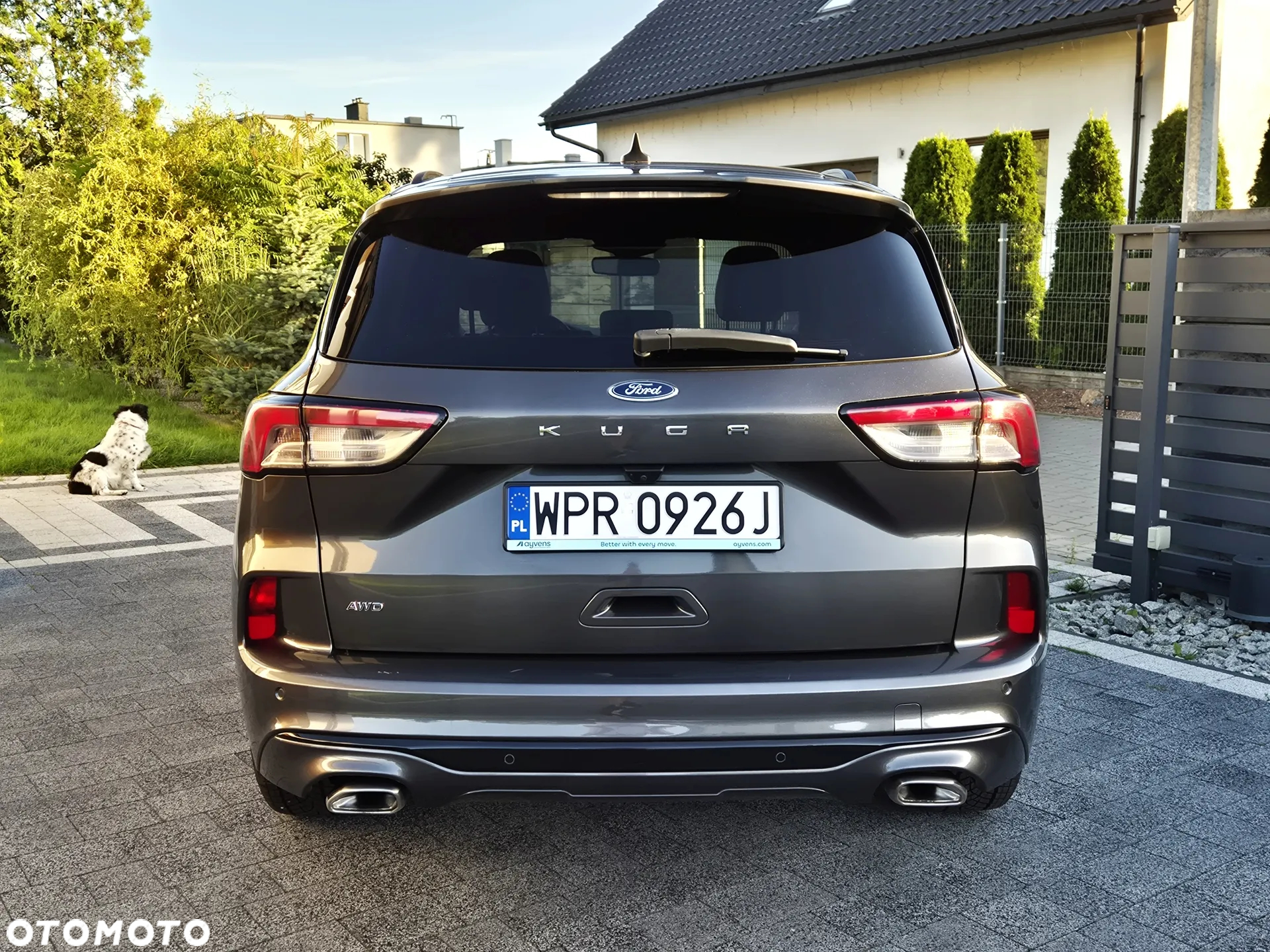Ford Kuga 2.0 EcoBlue AWD ST-Line X - 9