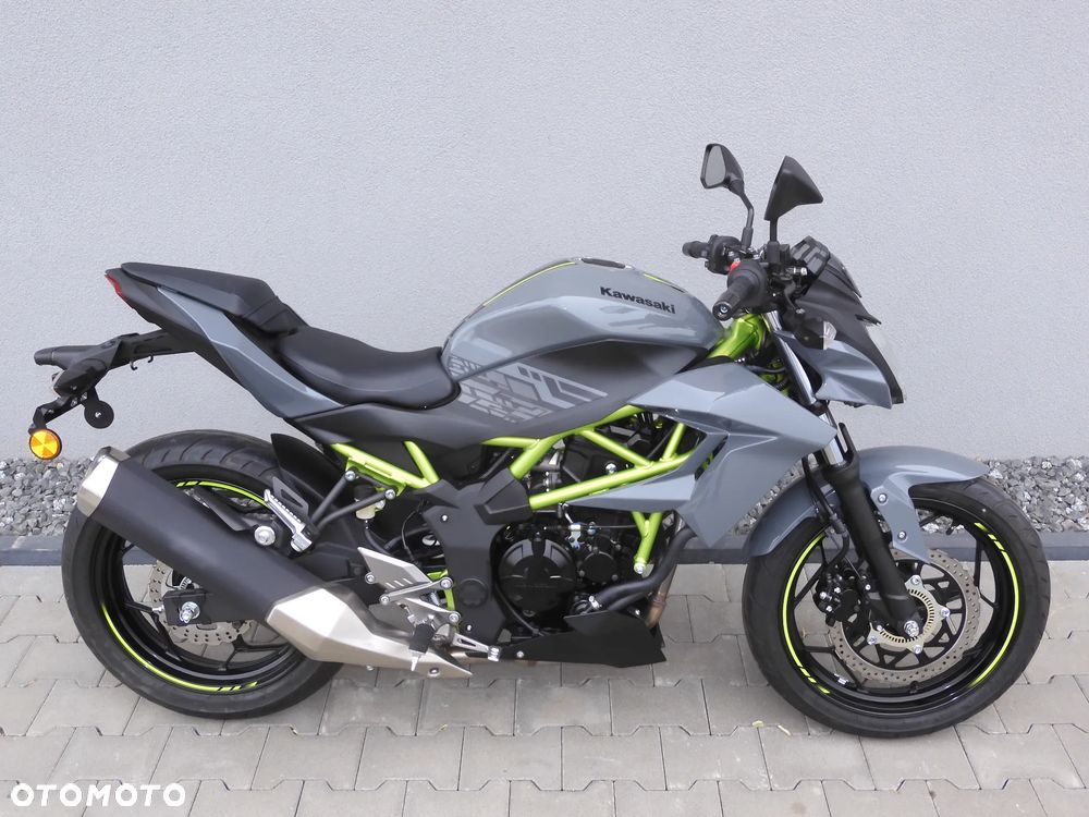 Kawasaki Z - 18