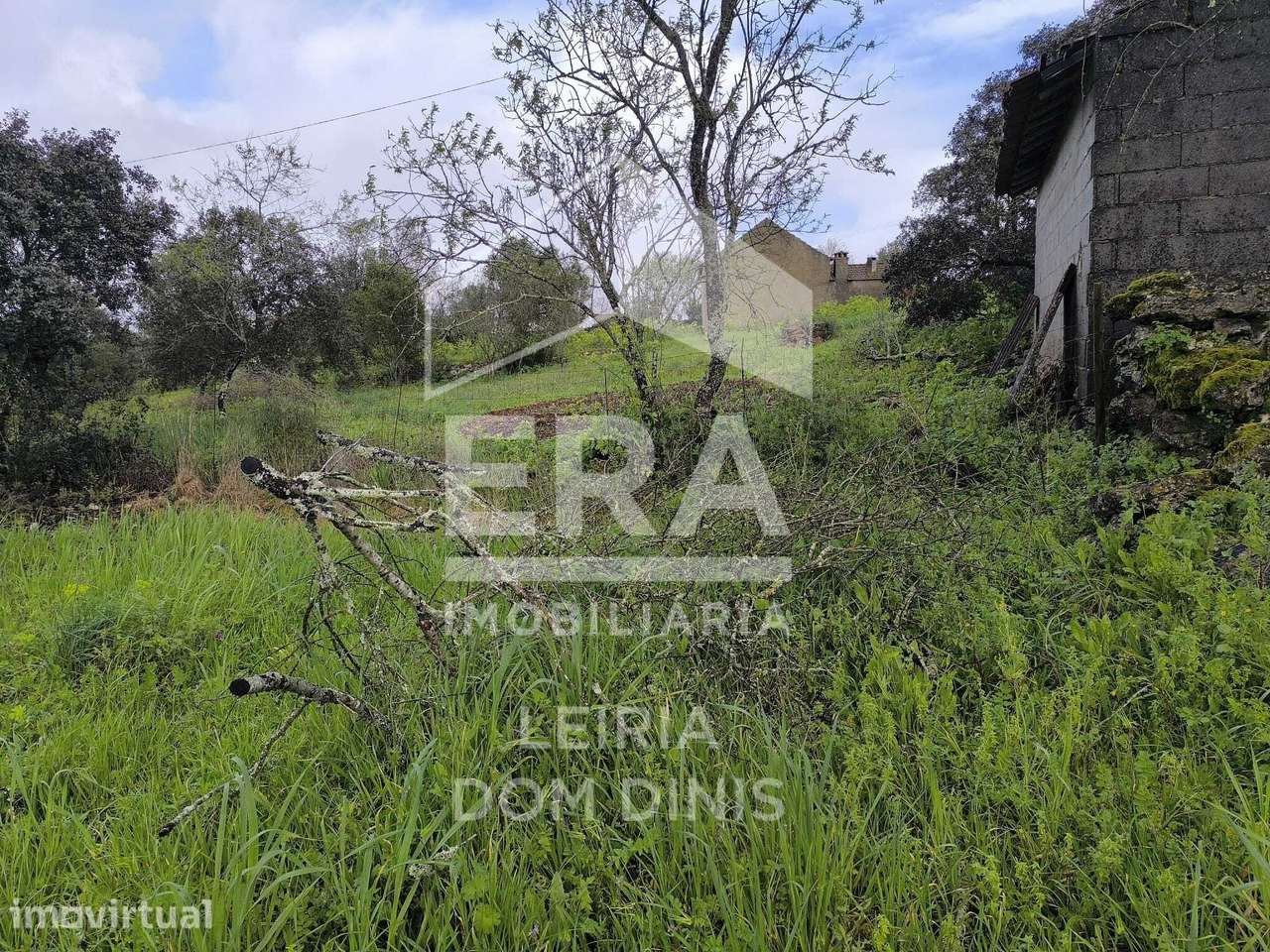 Terreno Urbano com Acesso Pavimentado e Vedação - Grande imagem: 3/6
