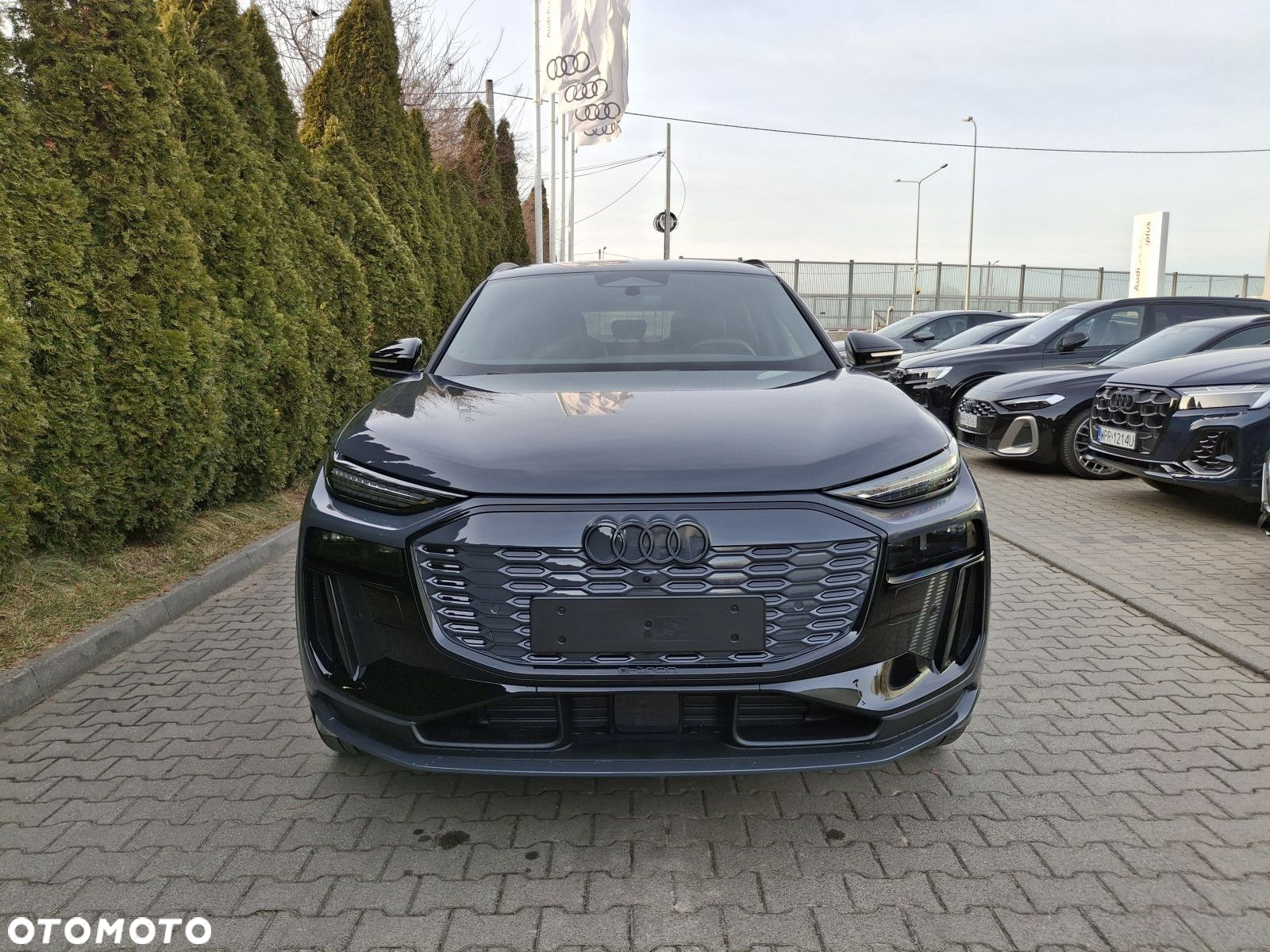 Audi Q6 - 11