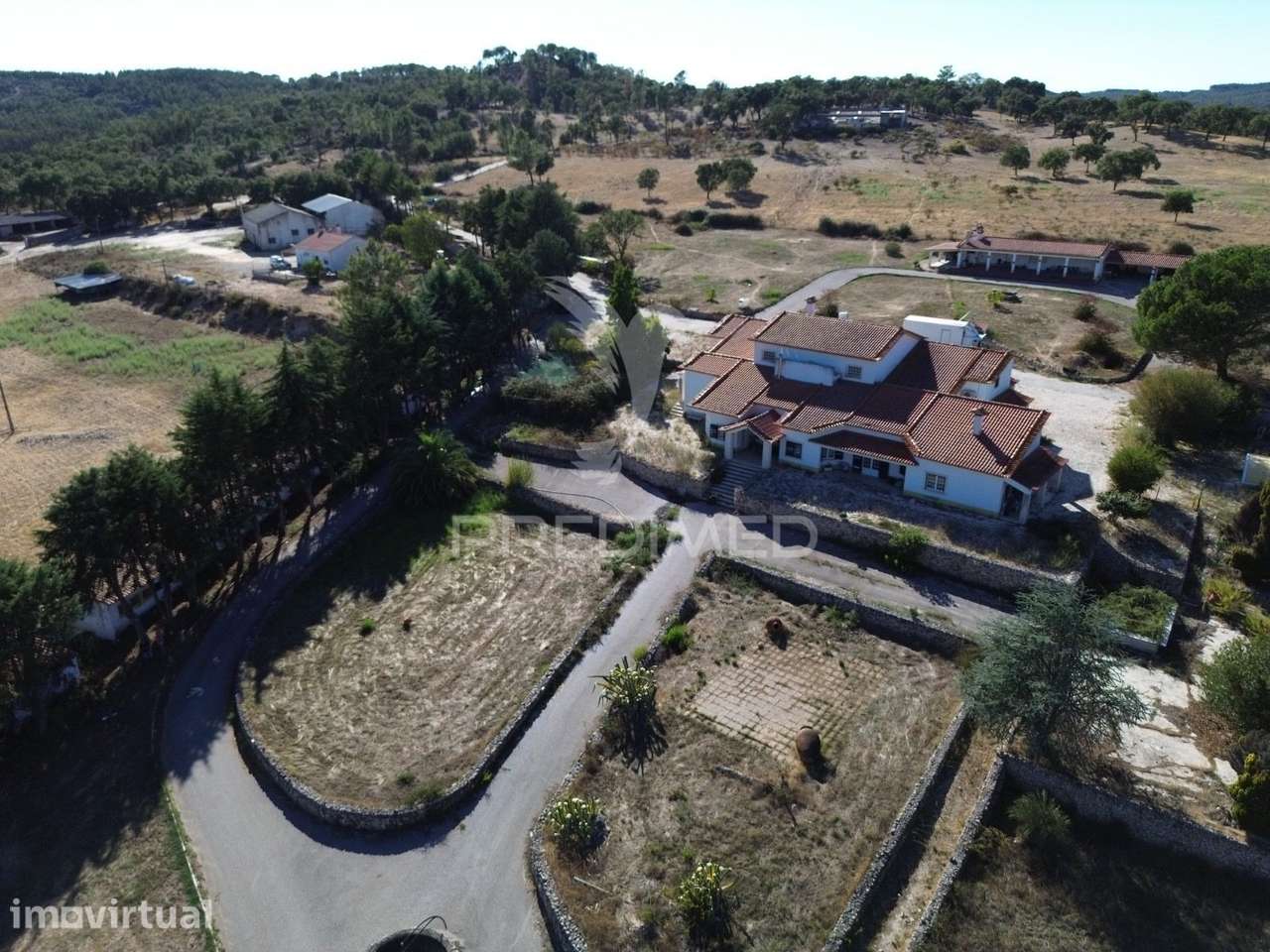 QUINTA COM 10,6 HECTARES DE NATUREZA, BEMPOSTA - ABRANTES - Grande imagem: 4/40
